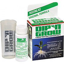 [해외]Dip N Grow Liquid Rooting Hormone, 2 Ounce