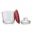 [해외]하리오 Glass Overnight Salting Bowl, 500ml, Red