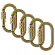 [해외]Fusion Climb Ovatti Steel Screw-Lock Oval-Shaped Carabiner 5-Pack