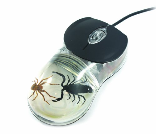 [해외]Fighting Scorpion & Spider Computer Mouse with Clear Background