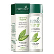 [해외] 바이오티크 스킨 로션 Biotique Bio Morning Nectar Flawless Skin Lotion - 190ml