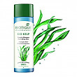 [해외] 바이오티크 식물성 샴푸 Biotique Botanicals BioKelp Shampoo, 4.2 Fluid Ounce