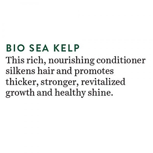 [해외] 바이오티크 헤어 컨디션너 Biotique Bio Sea Kelp Fresh growth Revitalizing Conditioner 120ml I 4.05 Oz. I Intensive Hair Growth Treatment