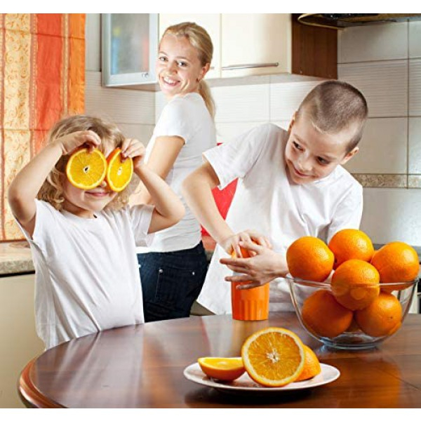 [해외] BNUNWISH 감귤/과일/오렌지 과즙(쥬스) 제조기 Juicer Citrus Orange Squeezer Manual Lid Rotation Press Reamer for Lemon Lime Grapefruit